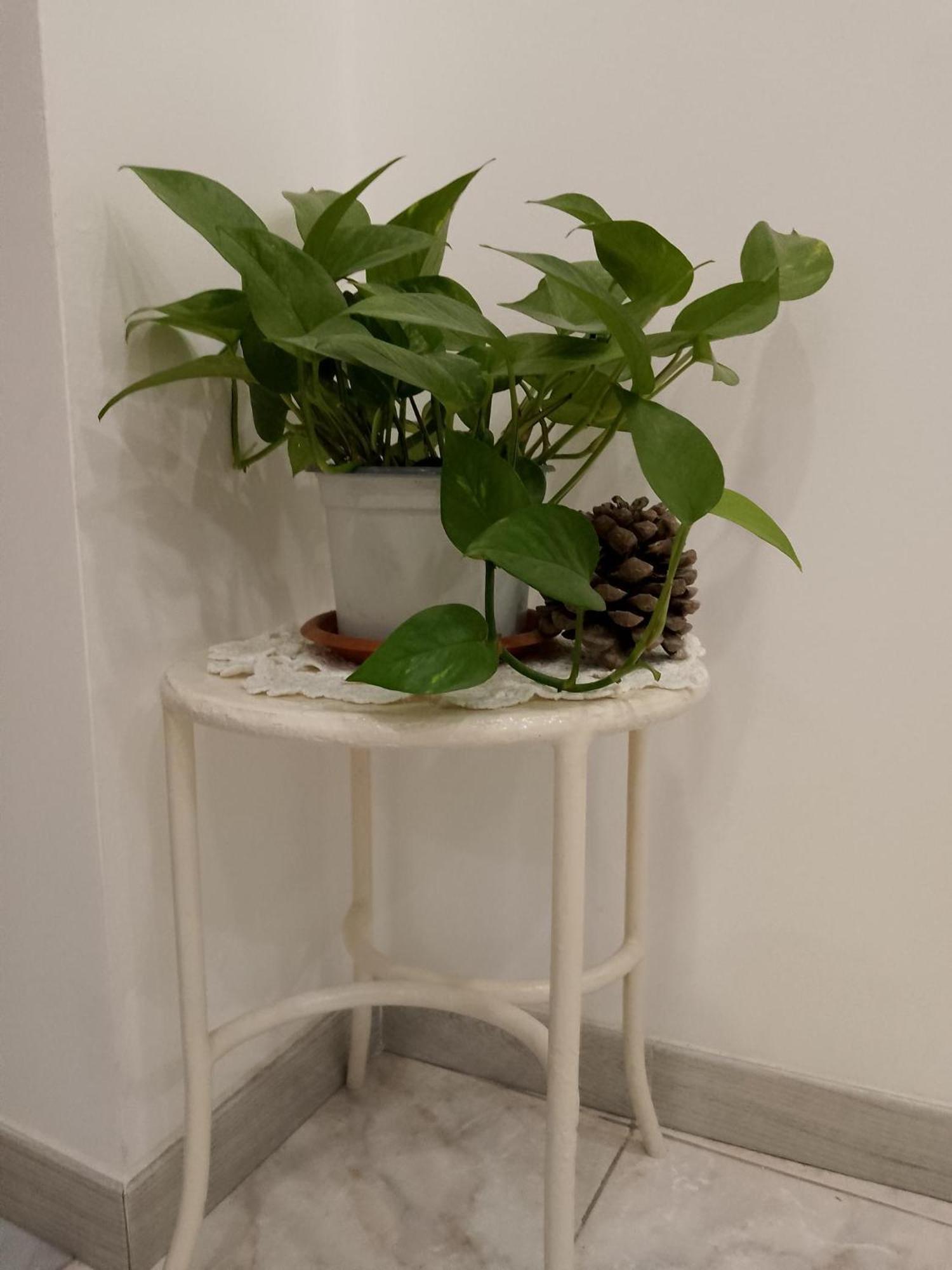 Le Casette Di Nonna Rosa In Fontanarossa Catania Airport 外观 照片