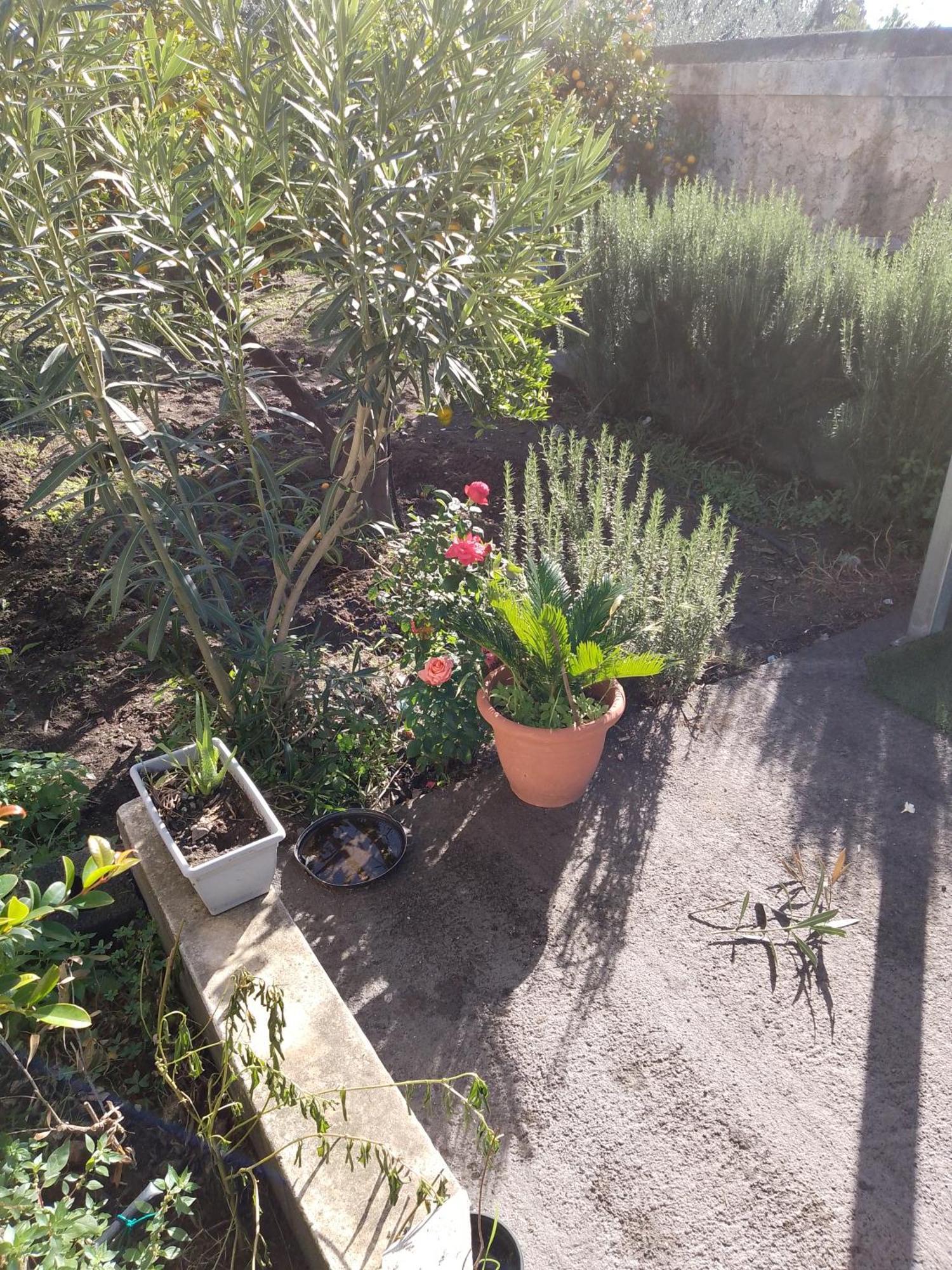 Le Casette Di Nonna Rosa In Fontanarossa Catania Airport 外观 照片