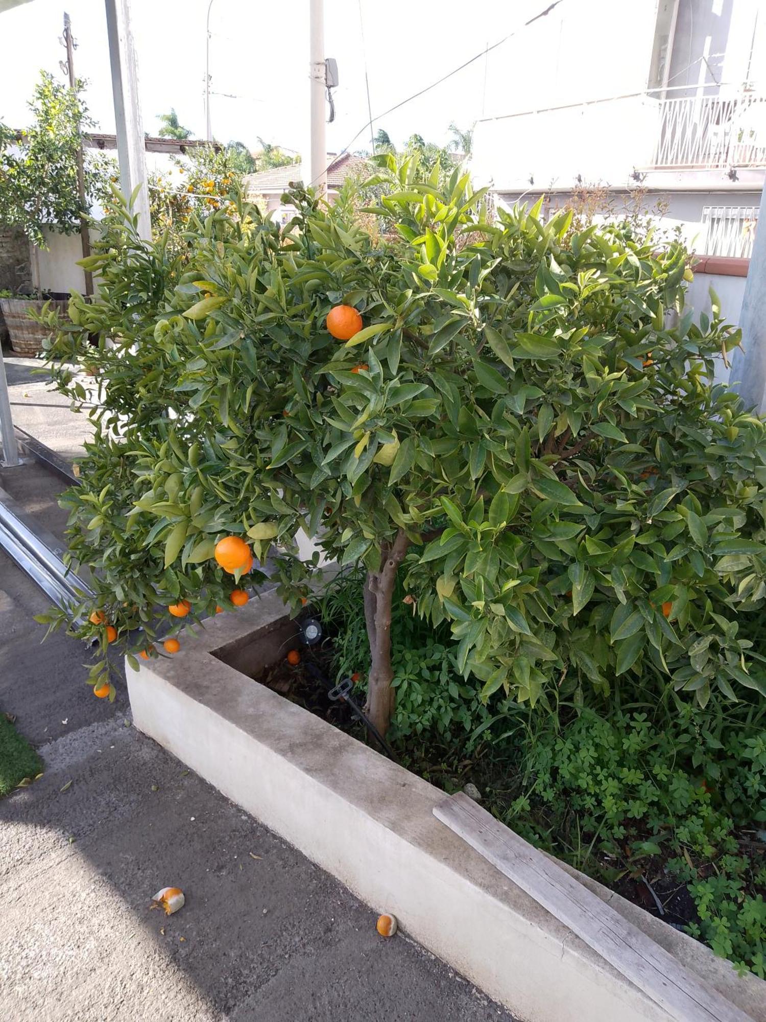 Le Casette Di Nonna Rosa In Fontanarossa Catania Airport 外观 照片